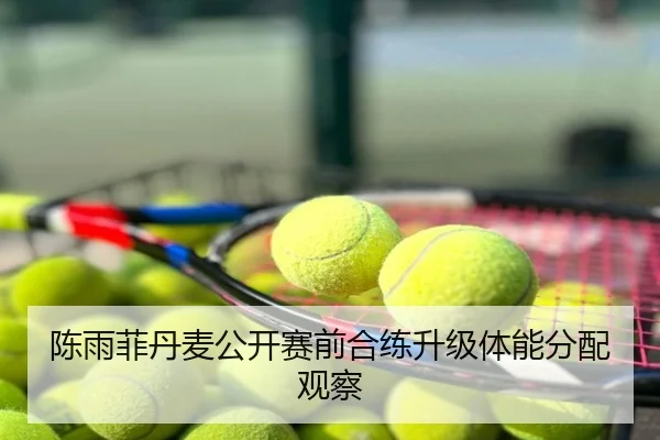 陈雨菲丹麦公开赛前合练升级体能分配观察